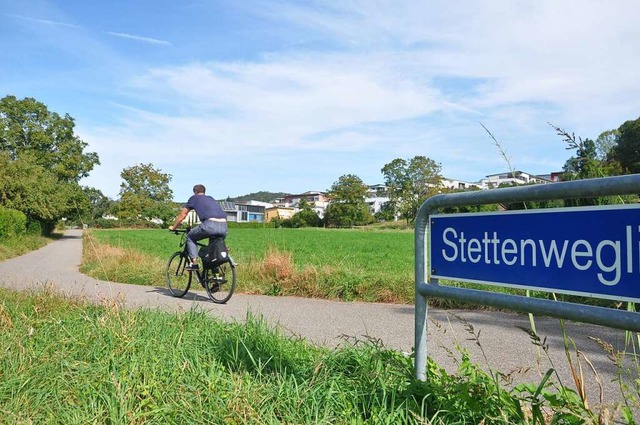 Das 17 Hektar groe Stettenfeld (hinte...chen, aber weiterhin viel Grn bieten.  | Foto: Daniel Gramespacher