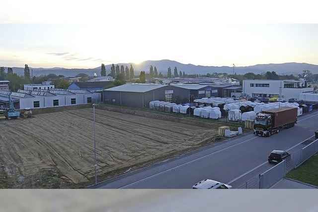 Buddy Star plant Erweiterung