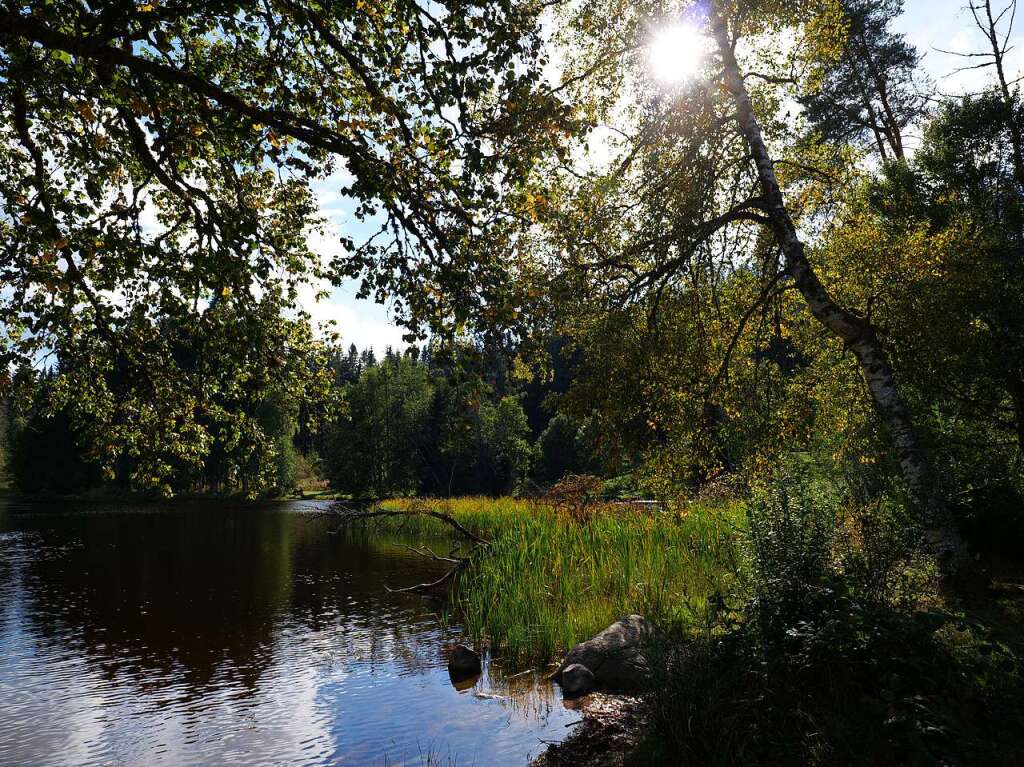 Herbst im Hochschwarzwald