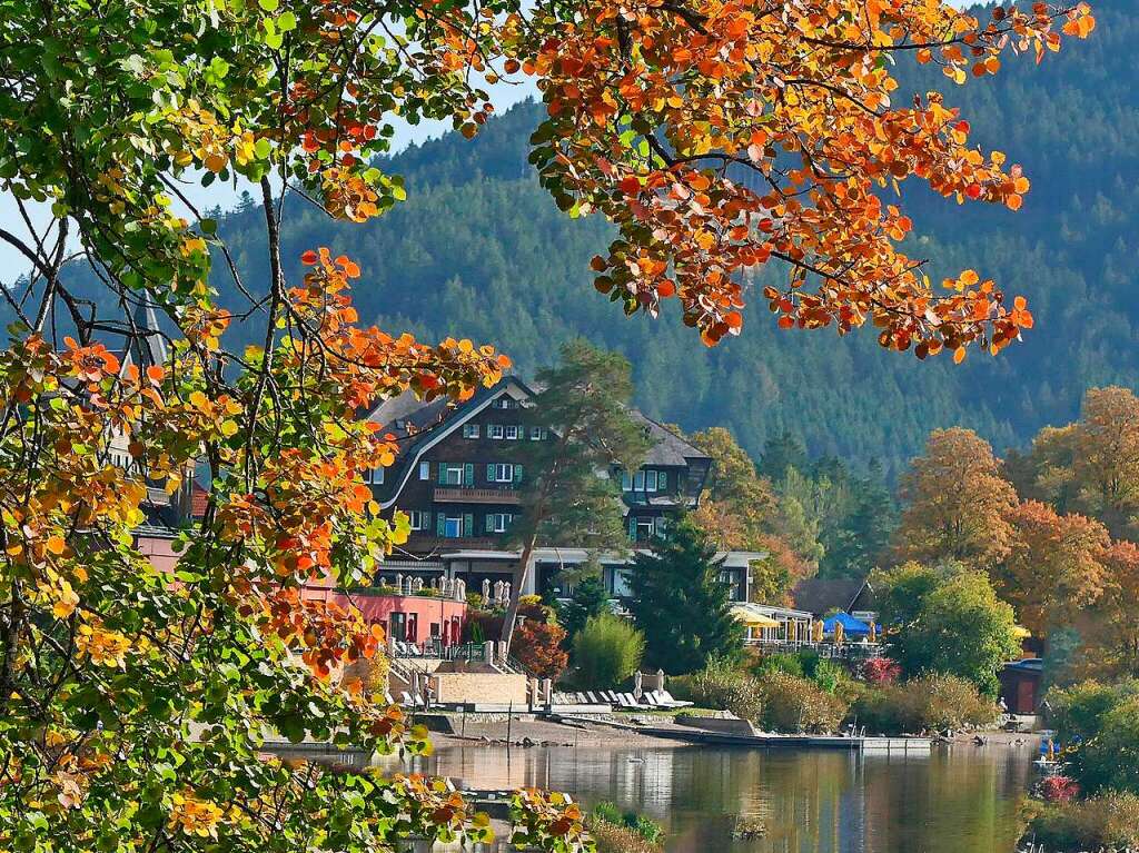 Herbst im Hochschwarzwald