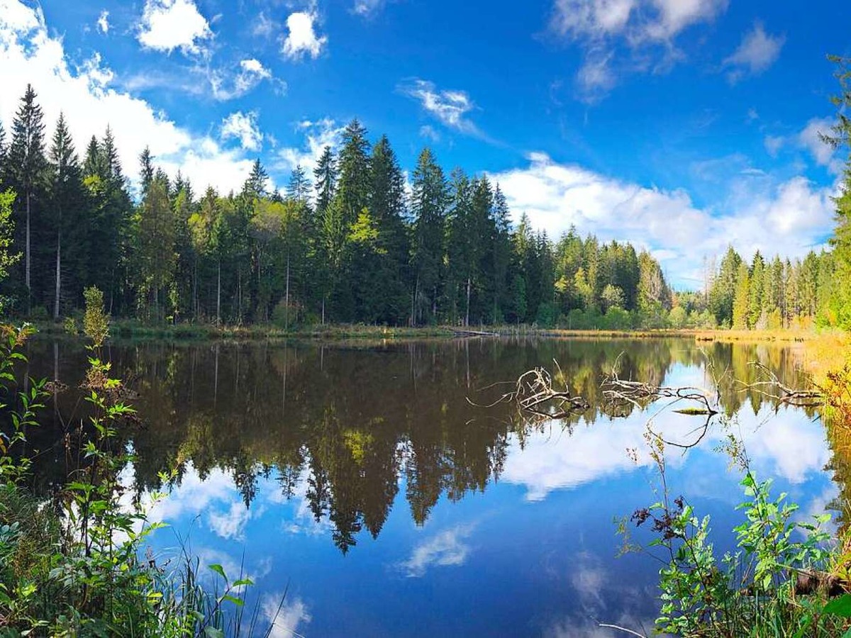 Herbst im Hochschwarzwald