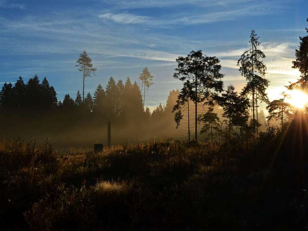 Herbst im Hochschwarzwald