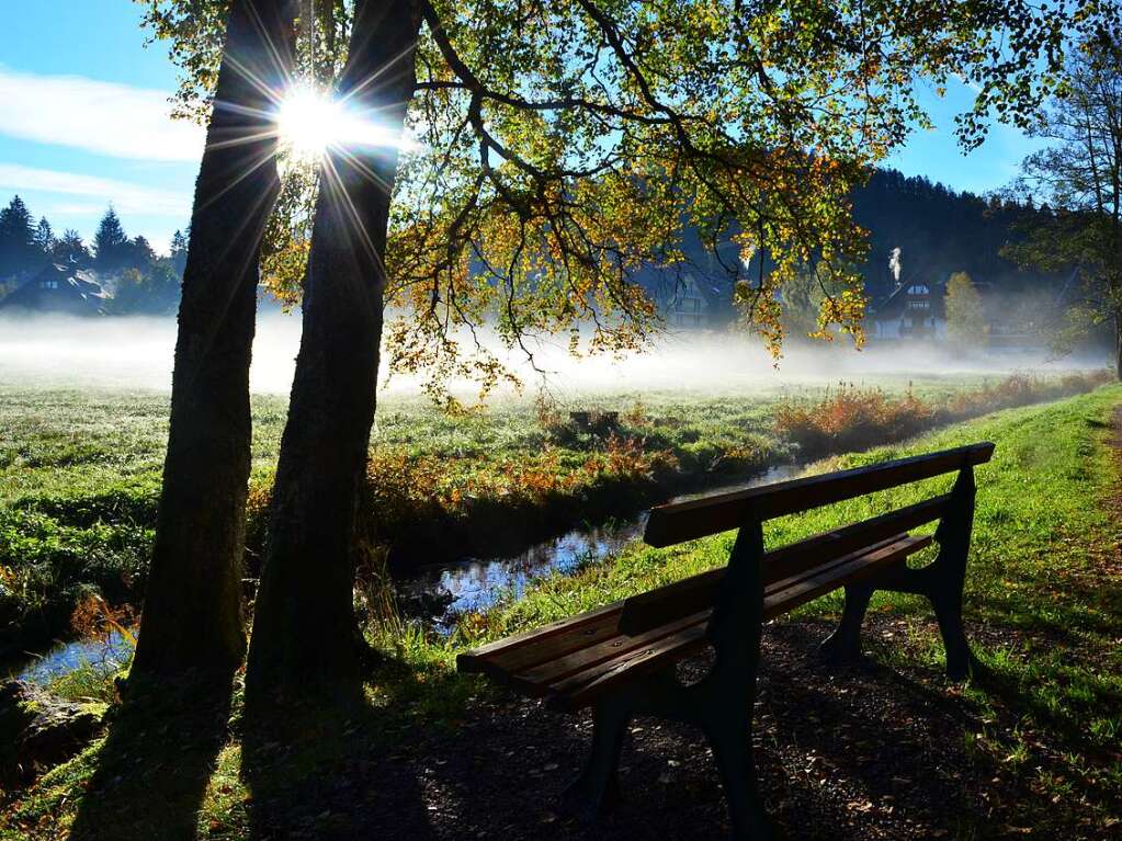 Herbst im Hochschwarzwald