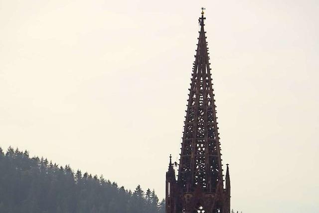 Winzlinge auf dem Freiburger Mnsterturm