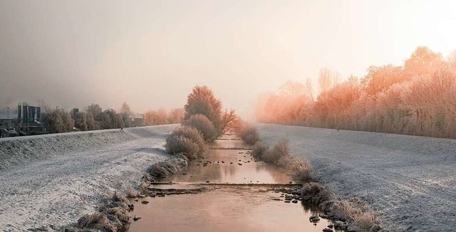 Der erste Schneefall des Winters an der Elz in Emmendingen.  | Foto: Levin Fleig