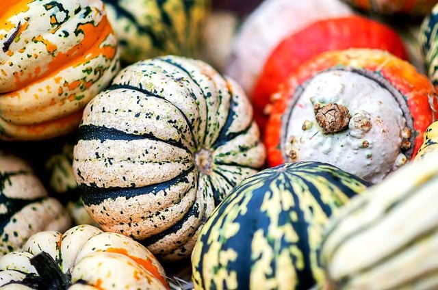 Krbisse gibt es im Herbst viele.  | Foto: Hauke-Christian Dittrich (dpa)