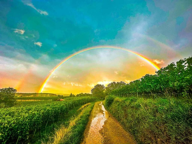 Regenbogen bei Btzingen.  | Foto: Thomas Gemmert