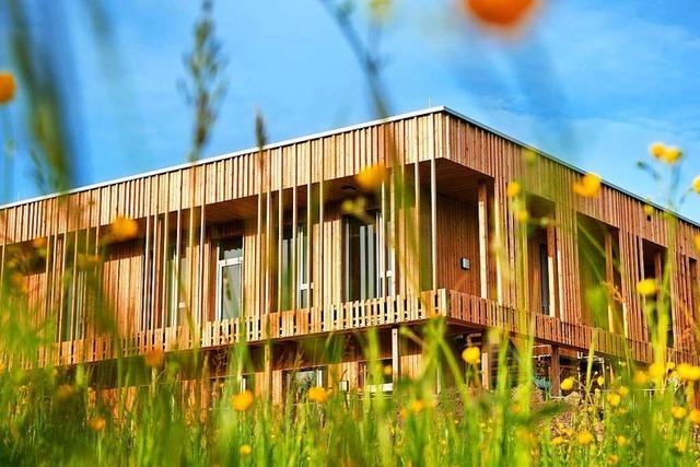 Warum mehr Holzhäuser so wichtig für den Klimaschutz sind