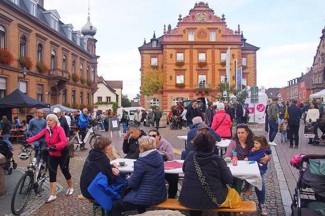 Die Besucherinnen und Besucher bei der...blicke in verschiedene Rumlichkeiten.  | Foto: Ilona Hge