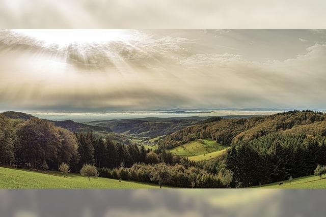 Dauerregen und Sturmben im Schwarzwald erwartet