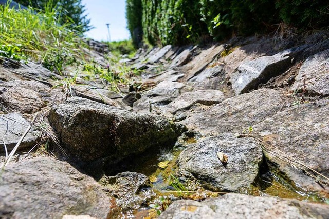 Damit Regenwasser versickern und vom B...en mit losem Steinen gesichert werden.  | Foto: Stefan Puchner