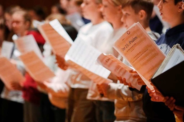 Fr die beiden Konzerte sind die Snge...d Snger gut vorbereitet (Symbolfoto).  | Foto: Sebastian Willnow (dpa)