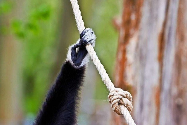 Exotische Tiere gibt&#8217;s auch im Zoo.  | Foto: Carlotta Huber