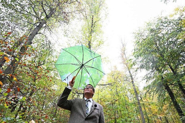 Forstminister Peter  Hauk warnte am Mi...or einem weiteren Absterben der Bume.  | Foto: Bernd Weibrod (dpa)