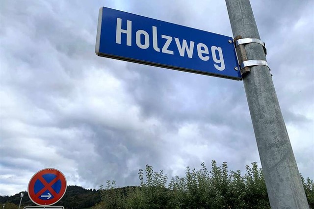 Im Neubaugebiet &#8222;Holzweg IV&#822...um, Pflegewohnen und ein Kindergarten.  | Foto: Simone Hhl