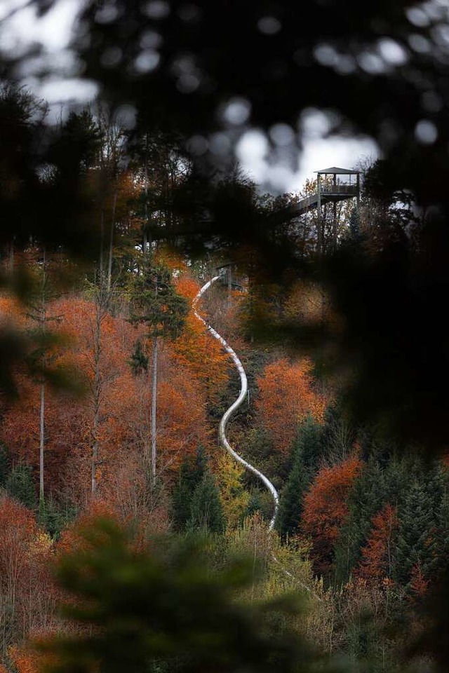 Die Rhrenrutsche des Baumwipfelpfades ist 190 Meter lang.  | Foto: Patrik Mller