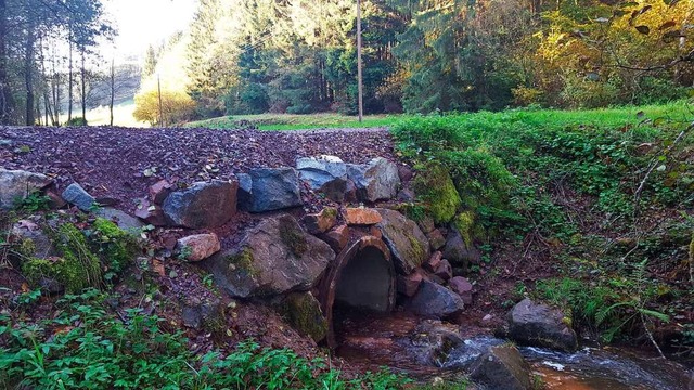 Im Rahmen der Ausgleichsmanahmen wurd... eingebaut, damit Fische durchkommen.   | Foto: Beate Zehnle-Lehmann