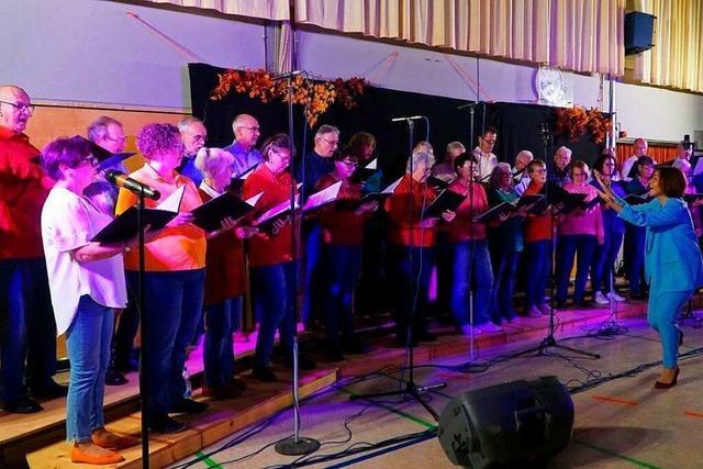 Gesangverein Tonart Nollingen feiert nach Zwangspause sein Comeback