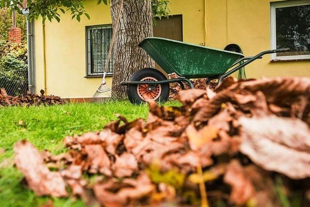 So kommt der Garten tierfreundlich durch Herbst und Winter