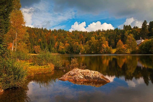 Klosterweiher in Dachsberg  | Foto: Clemens Emmler