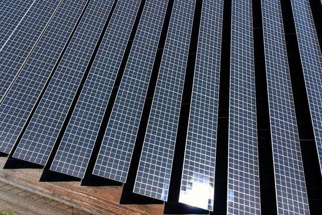 Ein Solarpark in Auggen soll Strom fr rund 5000 Haushalte produzieren