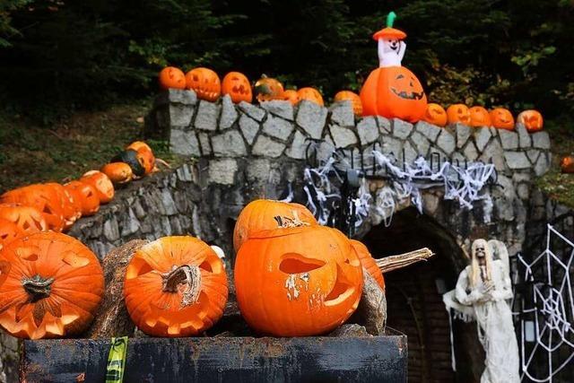 Fotos: Halloween im Besuchsbergwerk Teufelsgrund in Mnstertal