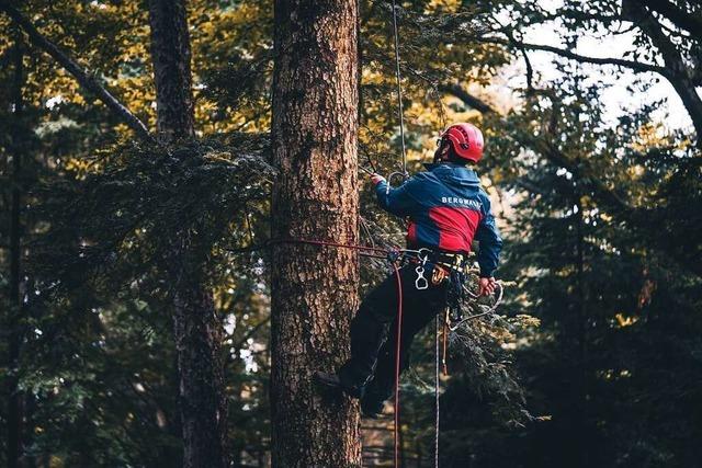 Bergwacht rettet Geocacher aus 15 Metern Hhe von einem Baum in Freiburg
