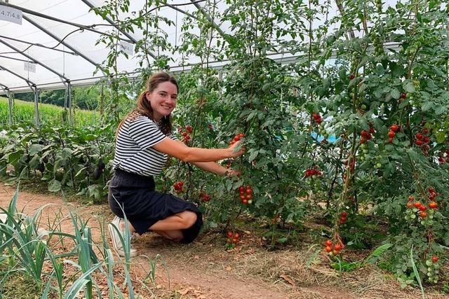 Die Solidarische Landwirtschaft in Friesenheim sucht weitere Teilhaber