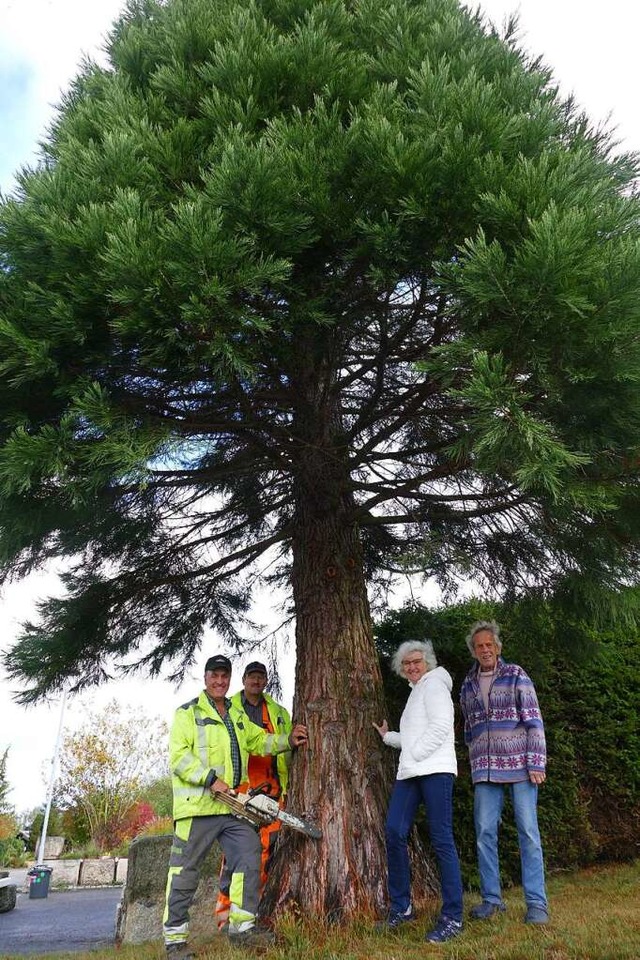 Berthold Dietsche und Georg Eichkorn v... als Christbaum in der Stadt gestellt.  | Foto: Stefan Limberger-Andris