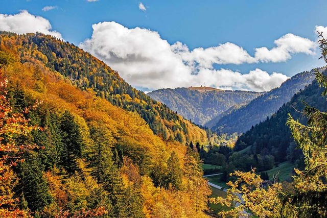 Aufgenommen wurde das Foto an der L126 in der Nhe des Steinwasenparks.  | Foto: Bernd Wehrle Freiburg