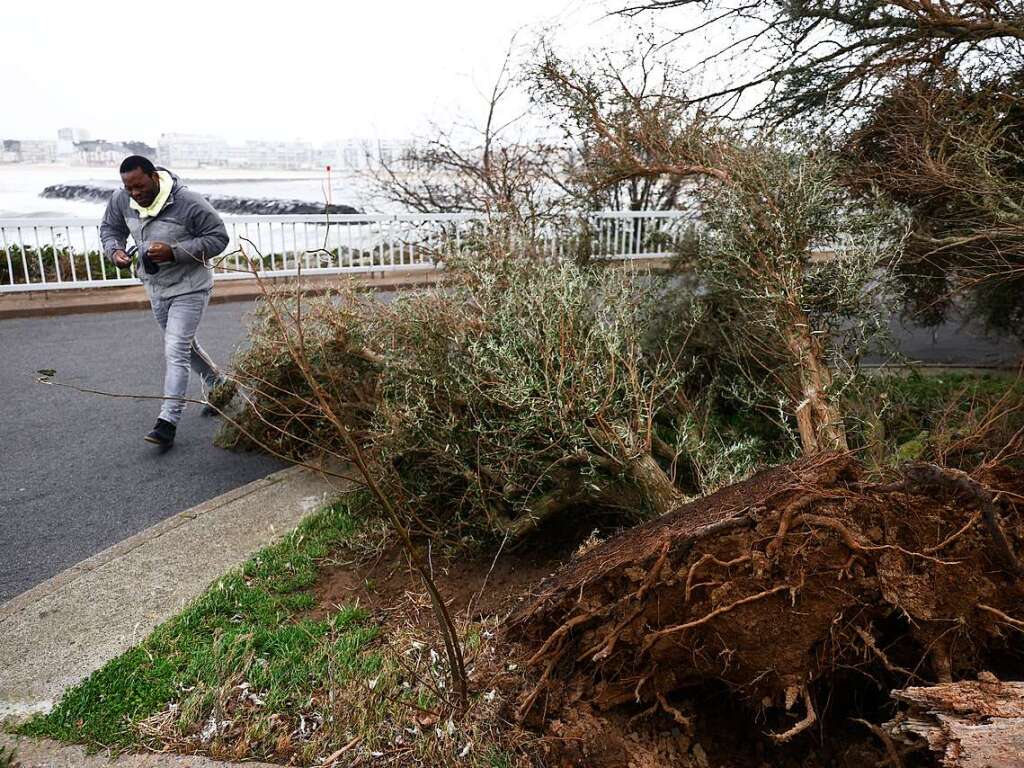 Frankreich, Pornichet: Ein  Baum ist auf die Strandpromenade gestrzt ist.