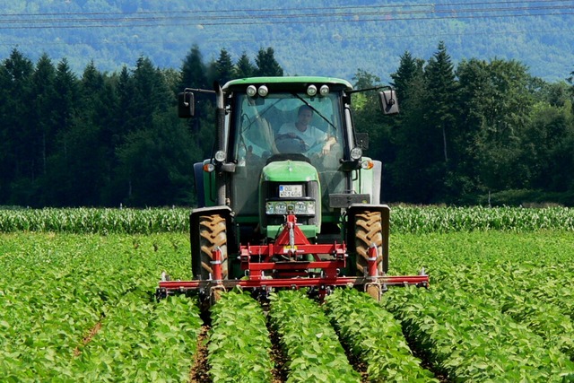 Mehr als 3000 landwirtschaftliche Unte...tenaukreis erhalten Agrarfrdergelder.  | Foto: Dieter Fink