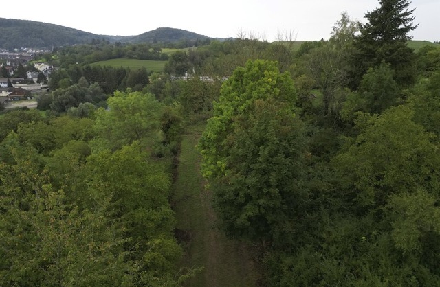 Die Landschaft auf dem Dammenberg erh...dschaftspflegetag einen neuen Schnitt.  | Foto: Stadt Lahr