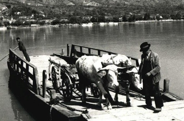 Leben an der Donau &#8211; einst  | Foto: Nachlass Rudolf Hartmann