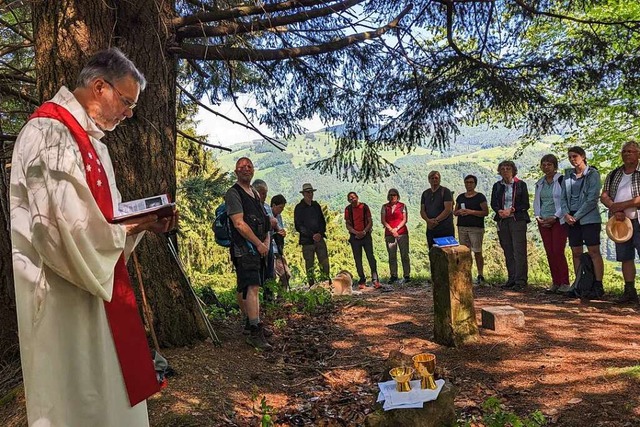 Unterwegs auf dem Pilgerweg durch die ...n durch den Kaiserstuhl nach Burkheim.  | Foto: Bernhard Huber