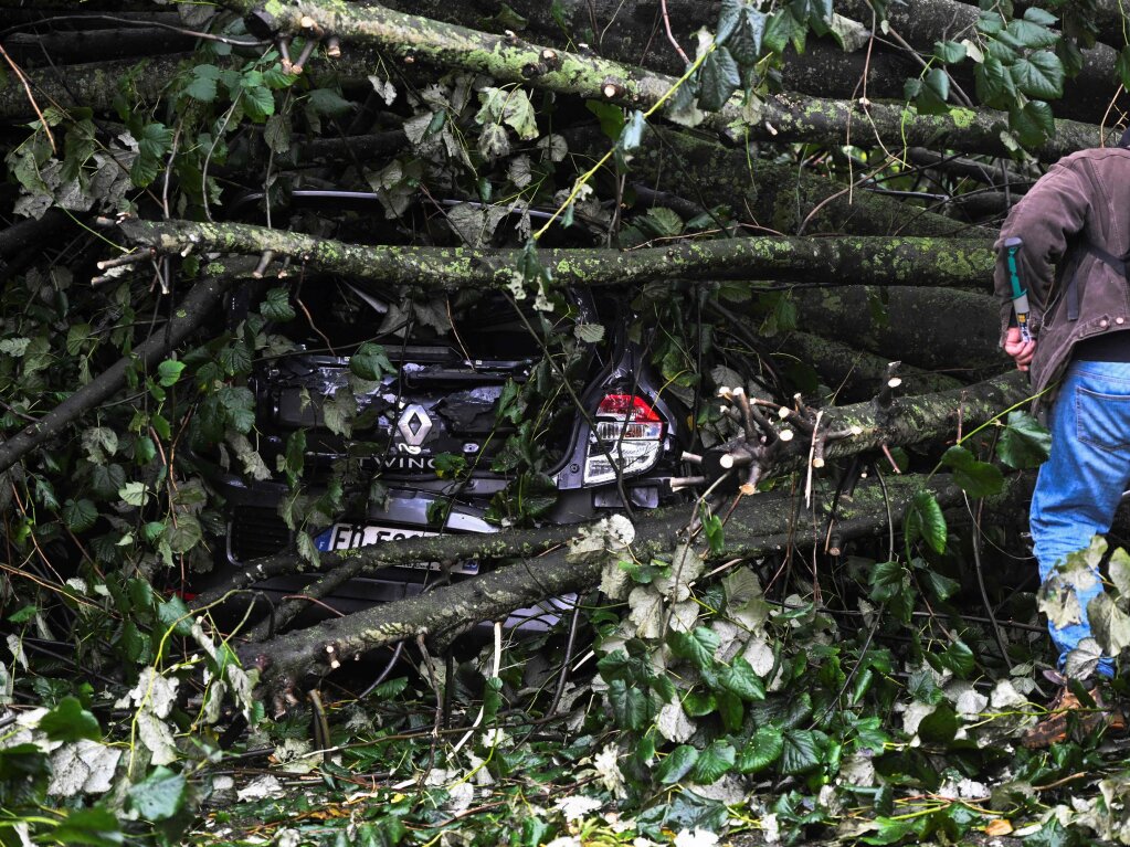 Frankreich, Brest: Eine Person versucht zu einem Auto zu gelangen, das durch einen umgestrzten Baum blockiert ist.