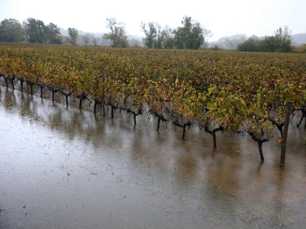 Ein berschwemmtes Weingut in Bordeaux, Frankreich.