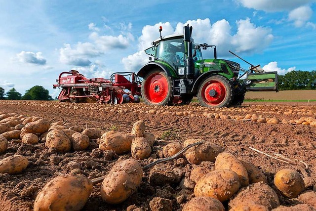 Zisch-Reporter Nico Hintenaus interessiert sich fr Landwirtschaft.  | Foto: Philipp Schulze (dpa)