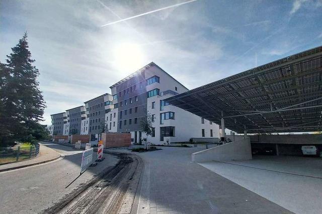 Architekt Rolf Disch erhält Deutschen Solarpreis für Klimahäuser in Schallstadt