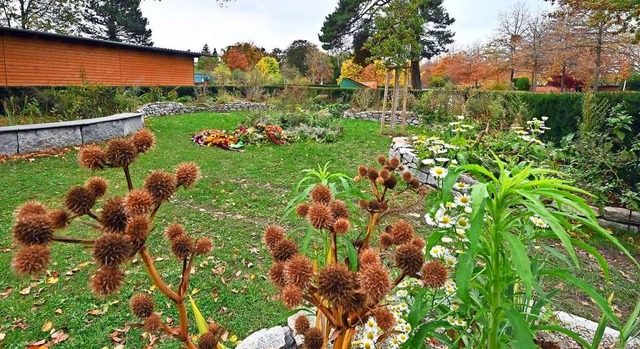 Auch die Friedhfe versuchen, dem Wuns...h einem klassischen Friedhof aussieht.  | Foto: Michael Bamberger