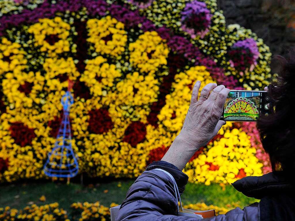 Die Chrysanthema 2023 in Lahr