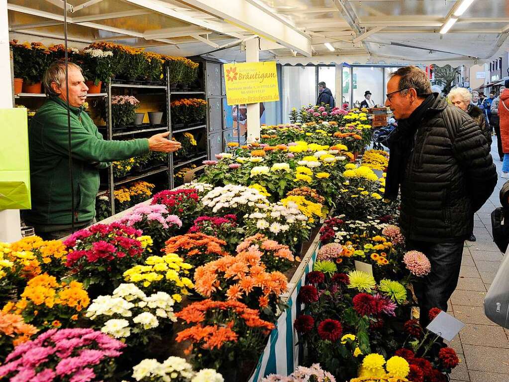 Die Chrysanthema 2023 in Lahr