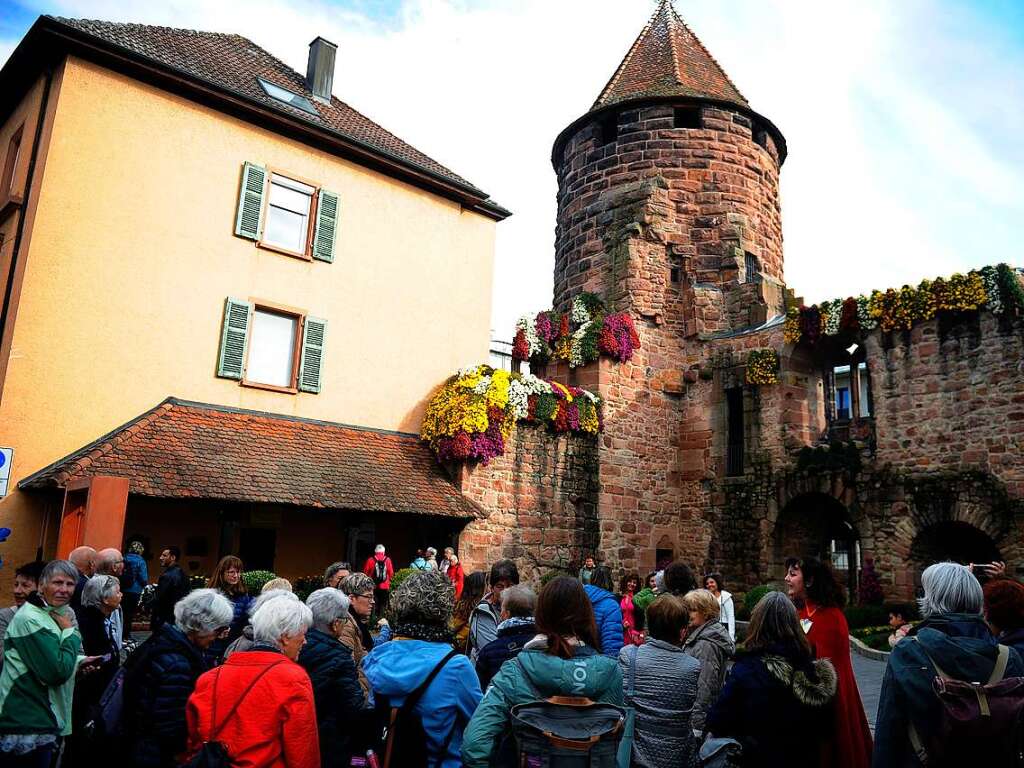 Die Chrysanthema 2023 in Lahr