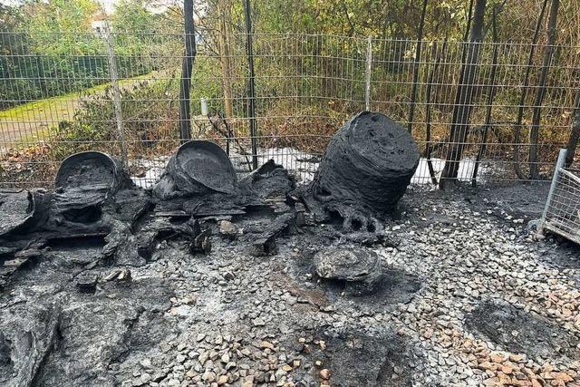 Brand in Baumschule in Freiburg verursacht rund 20.000 Euro Schaden