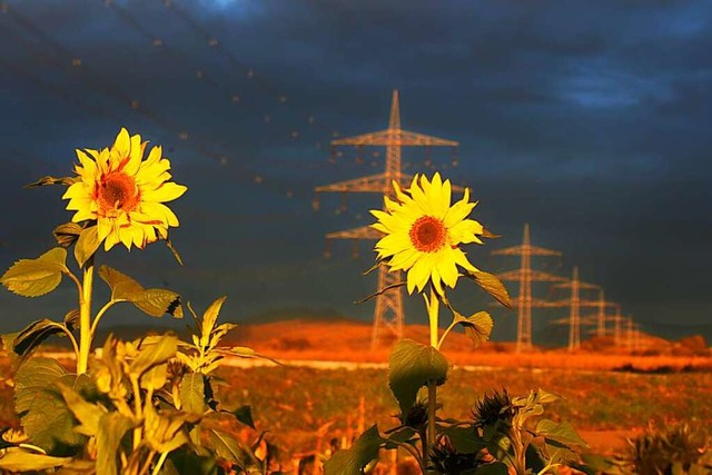 Strom aus Sonnenlicht machen, das woll...nen in Heitersheim zustzlich frdern.  | Foto: Harald Hfler