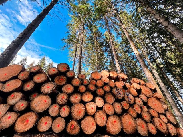 2024 gibt&#8217;s in Bad Krozingen wohl weniger Einnahmen aus der Holzernte.  | Foto: Hans-Peter Mller