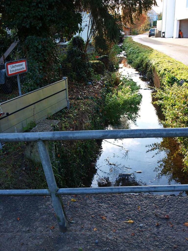 Neuralgischer Punkt fr den Hochwasserschutz: die Rosswangbrcke  | Foto: Paul Schleer