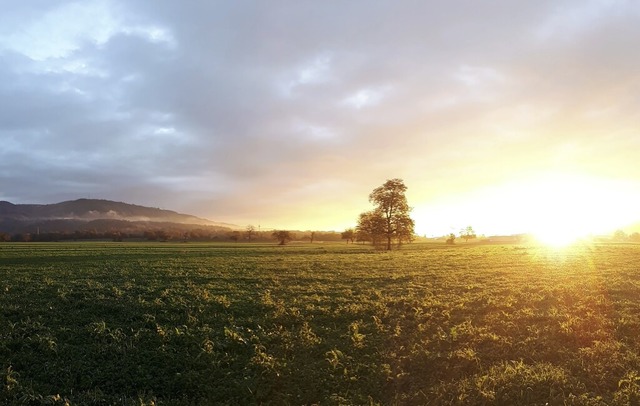   | Foto: Friederike Schlgl