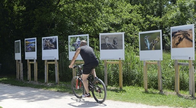 Die Open-Air-Fotoausstellung entlang d...nterreg-Kleinprojekte-Fonds gefrdert.  | Foto: Annette Mahro