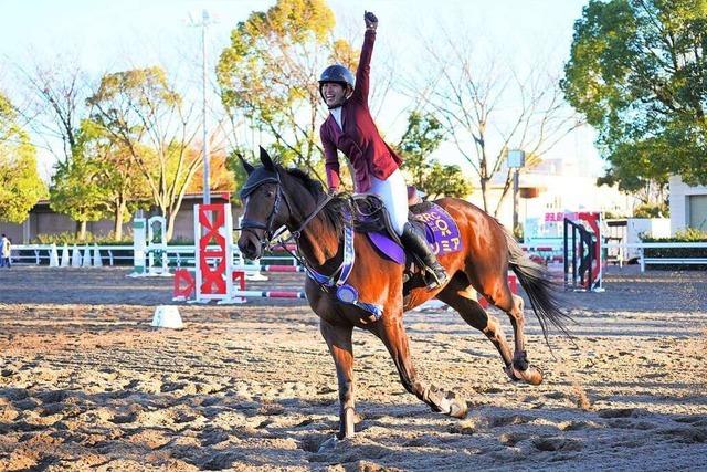 Fr Japans alternde Pferde gibt es einen eigenen Wettbewerb